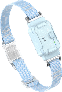 smart collar 2