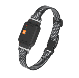 smart collar1