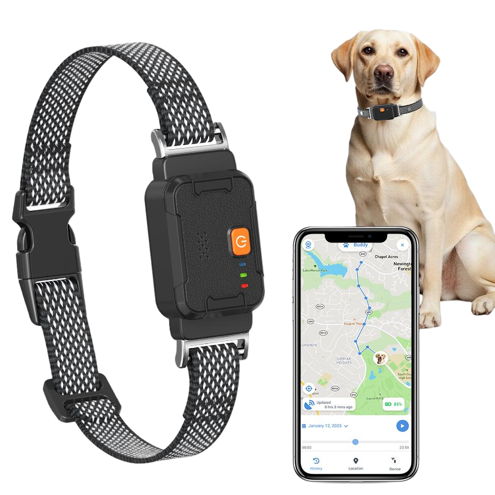 smart collar3